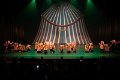 Mini Stars Circus 3D  33